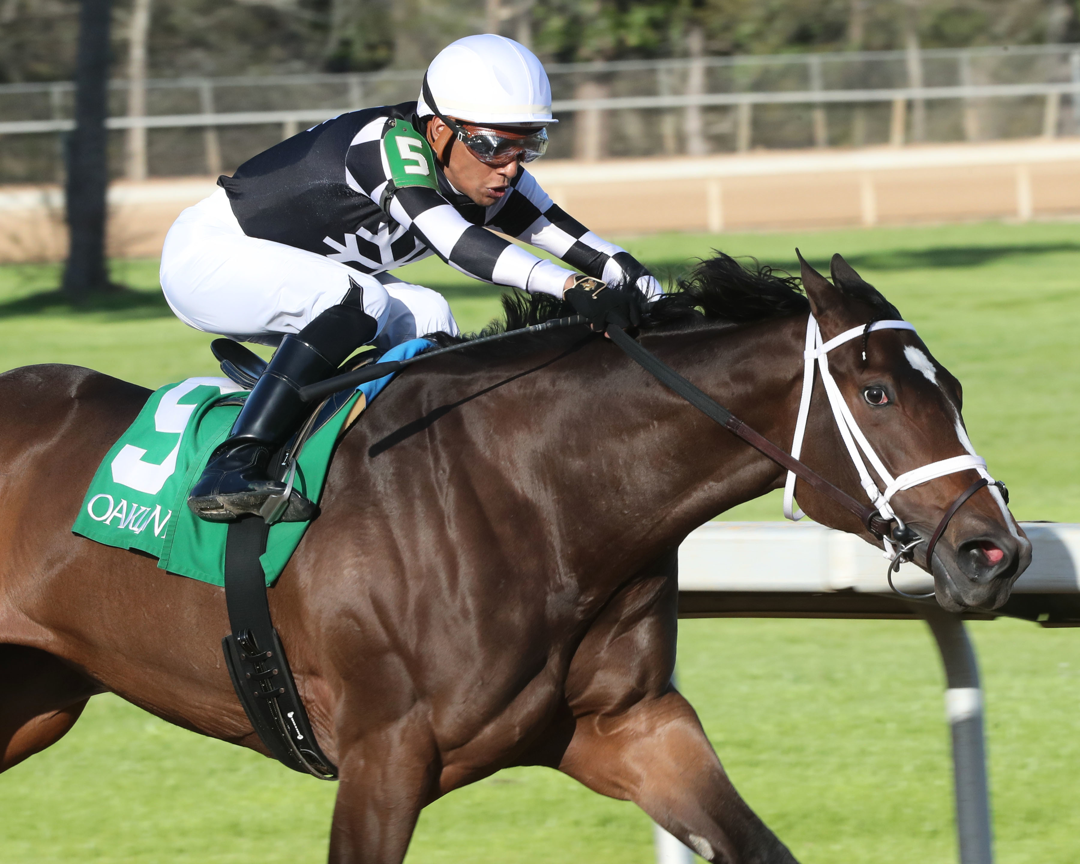 Key of Life shoots for Keeneland hat trick in Beaumont